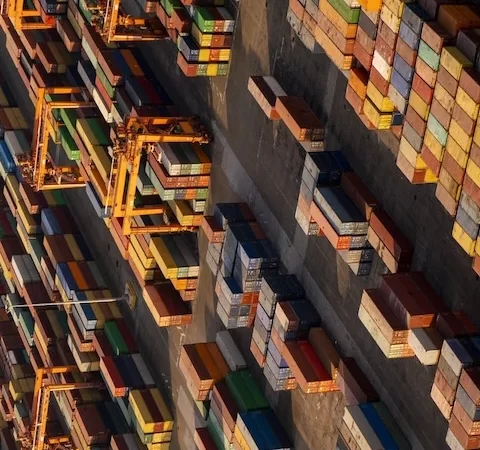 GÜMRÜK MÜŞAVİRLİĞİ  